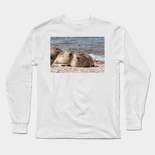 Three common seals at Portgordon Scotland Long Sleeve T-Shirt